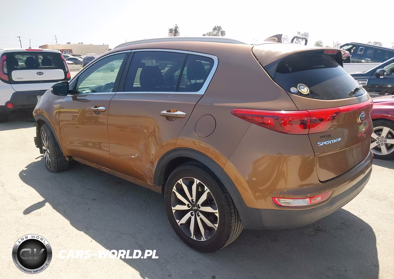 2019 Kia Sportage Ex VIN:KNDPN3AC8K7507703 - 3