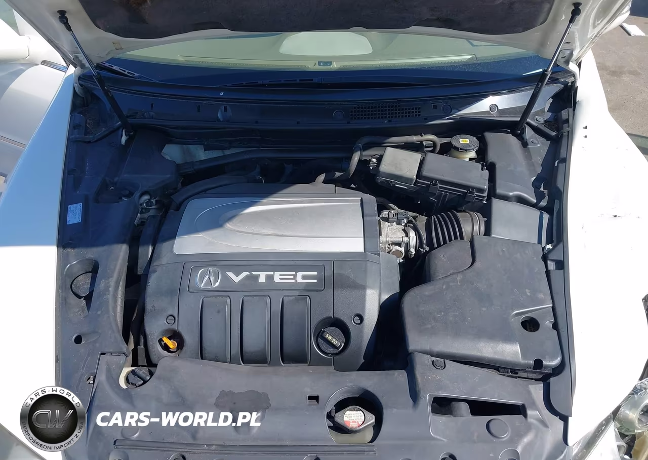 2005 Acura Rl 3.5 VIN:JH4KB16585C009738 - 10