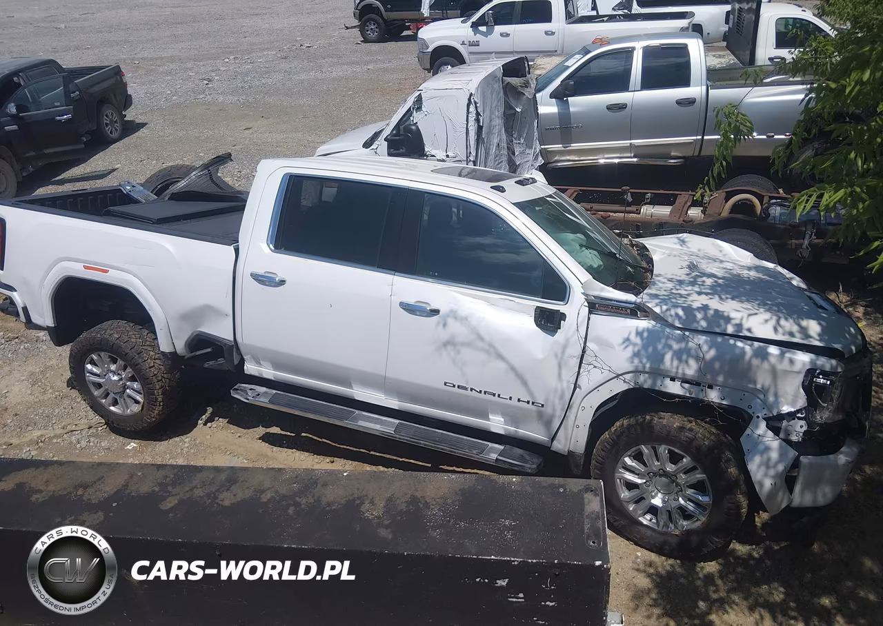 2020 GMC Sierra 3500Hd 4Wd Standard Bed Denali VIN:1GT49WEY9LF327443 - 12