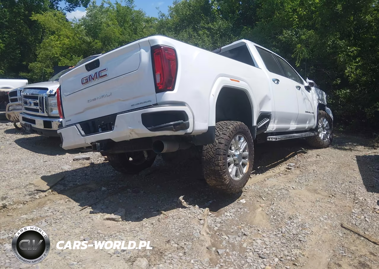 2020 GMC Sierra 3500Hd 4Wd Standard Bed Denali VIN:1GT49WEY9LF327443 - 4