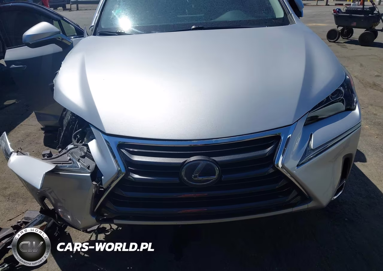 2016 Lexus Nx 300H VIN:JTJBJRBZXG2034318 - 12