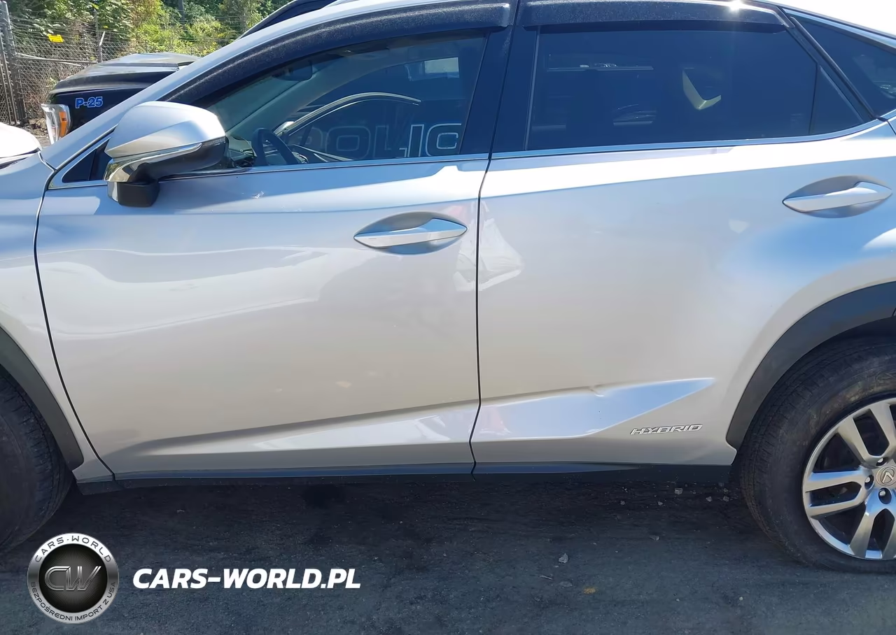 2016 Lexus Nx 300H VIN:JTJBJRBZXG2034318 - 14