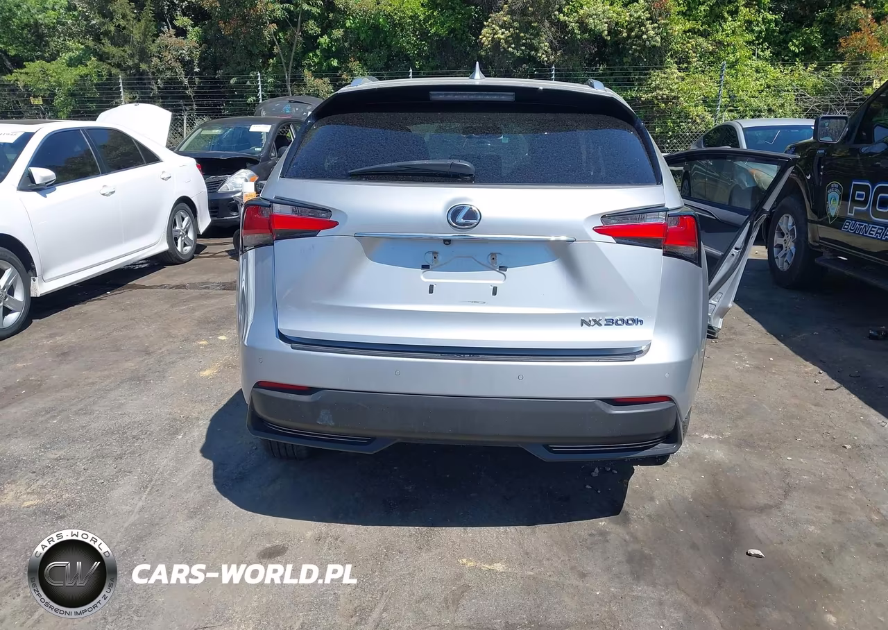 2016 Lexus Nx 300H VIN:JTJBJRBZXG2034318 - 16