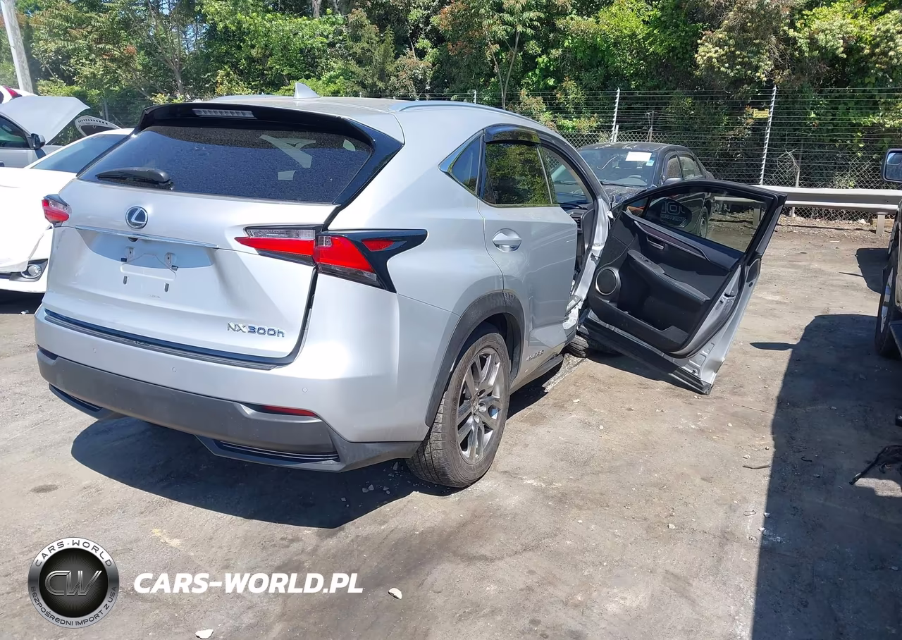 2016 Lexus Nx 300H VIN:JTJBJRBZXG2034318 - 4