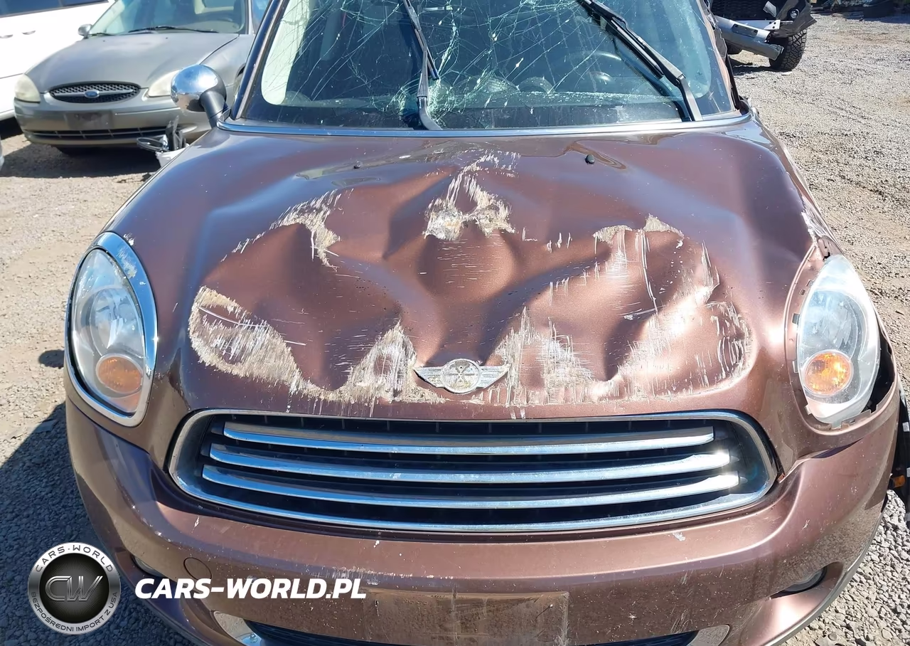 2013 Mini Countryman Cooper VIN:WMWZB3C54DWM09953 - 10