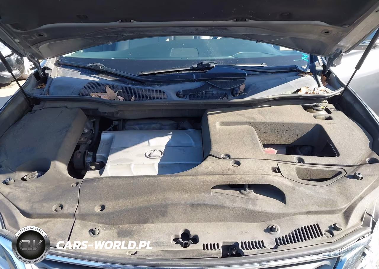 2015 Lexus Rx 350 VIN:JTJZK1BA8F2420161 - 10