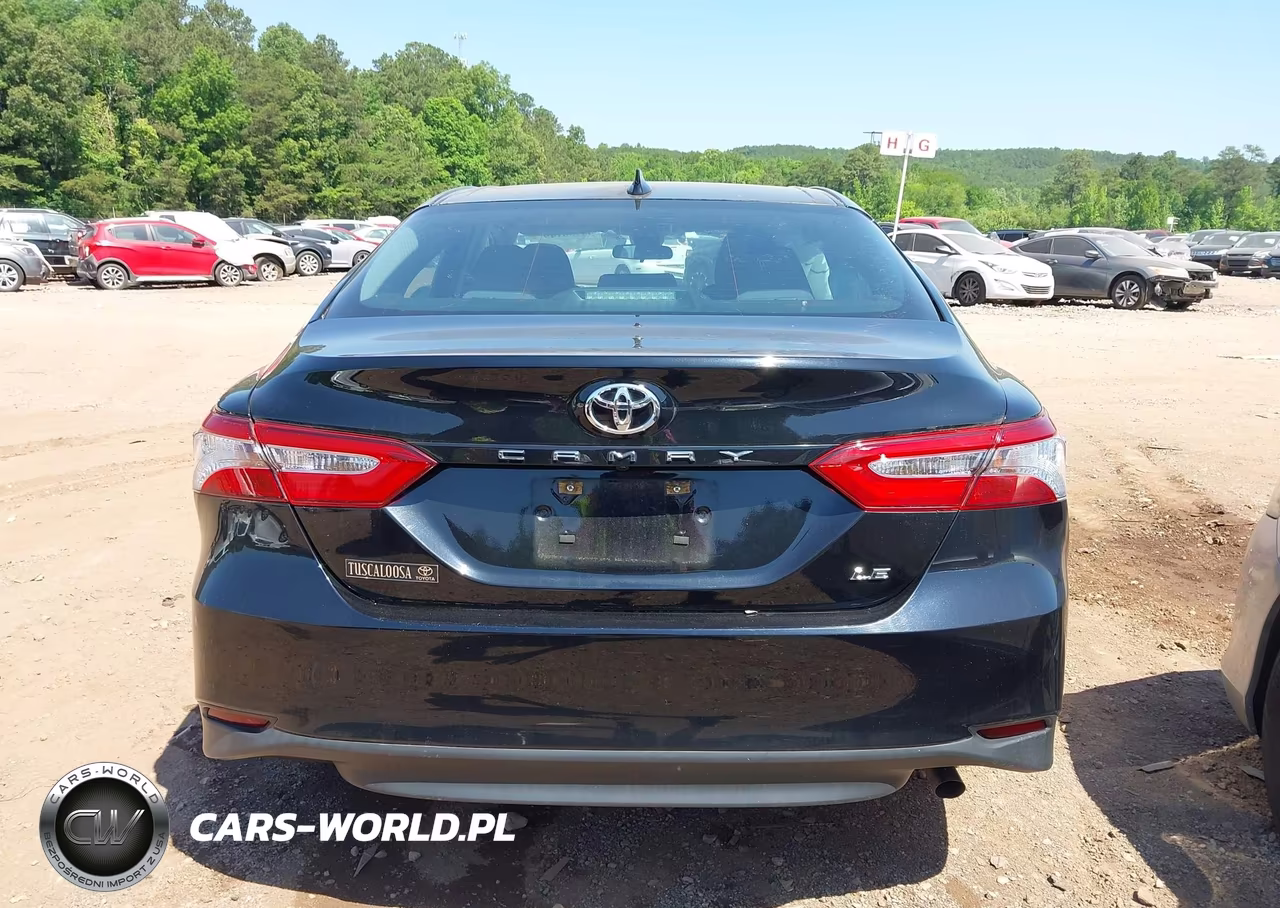 2020 Toyota Camry Le VIN:4T1C11AK7LU864004 - 17