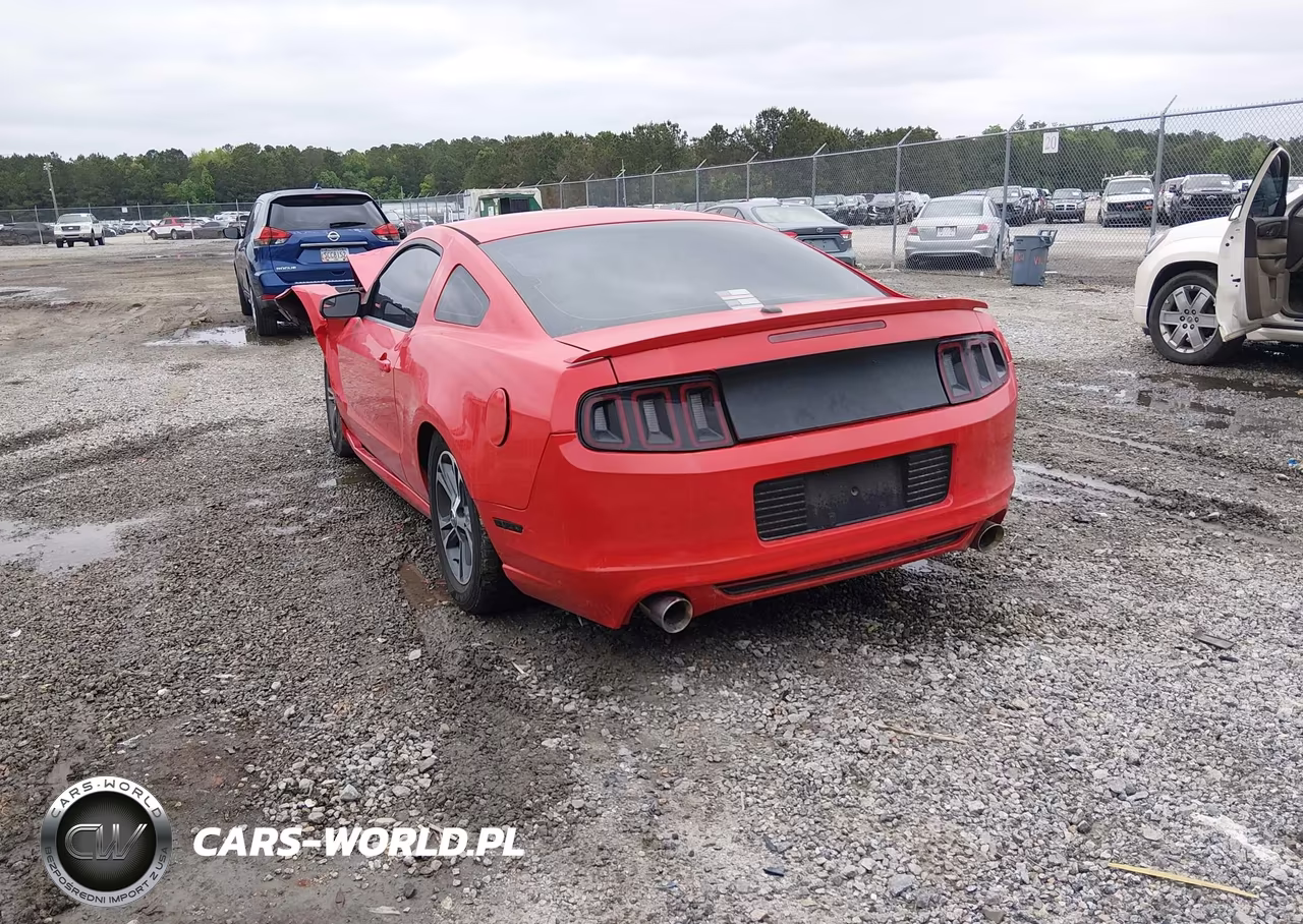 2013 Ford Mustang V6 Premium VIN:1ZVBP8AM0D5204419 - 3