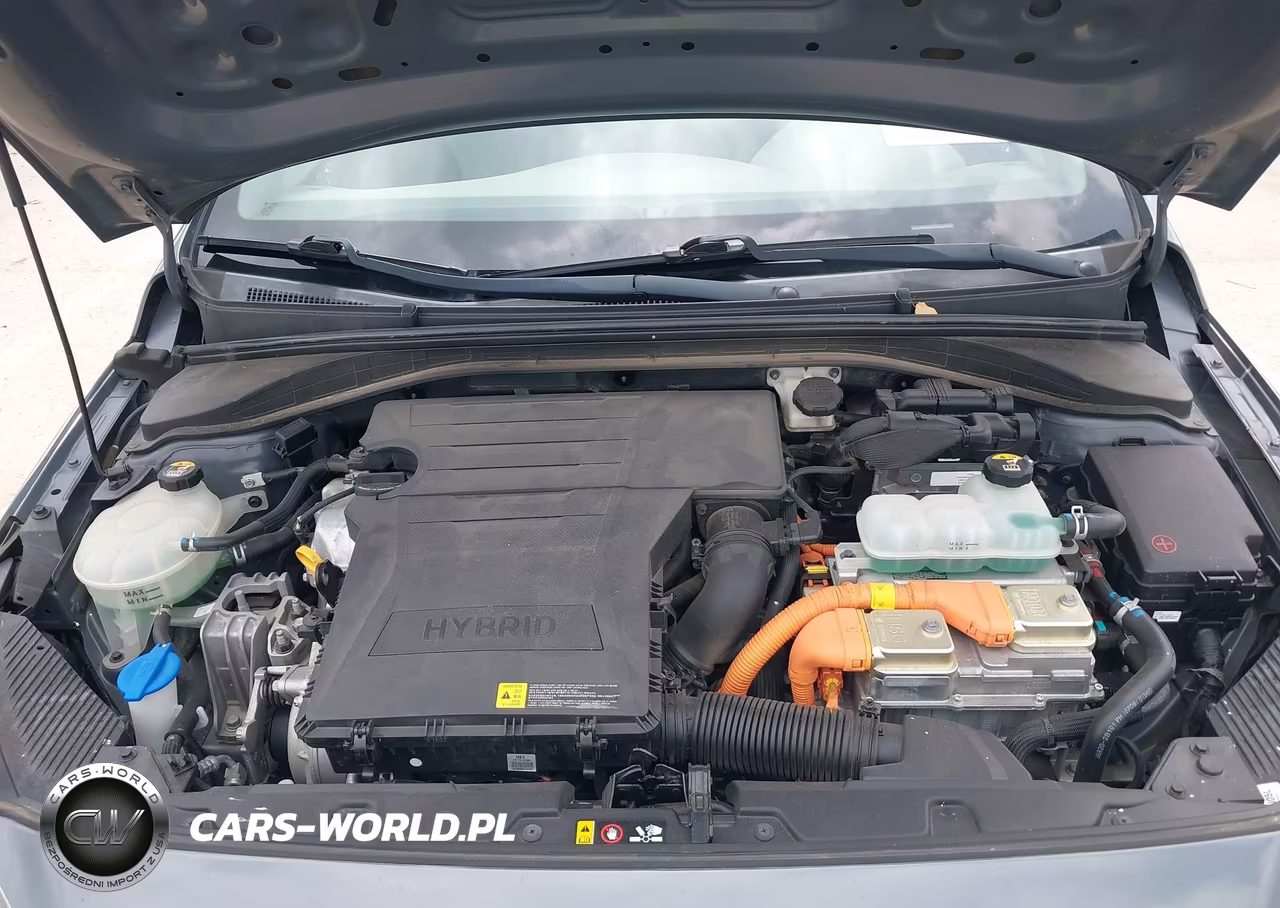 2019 Hyundai Ioniq Hybrid Blue VIN:KMHC65LC1KU116314 - 10