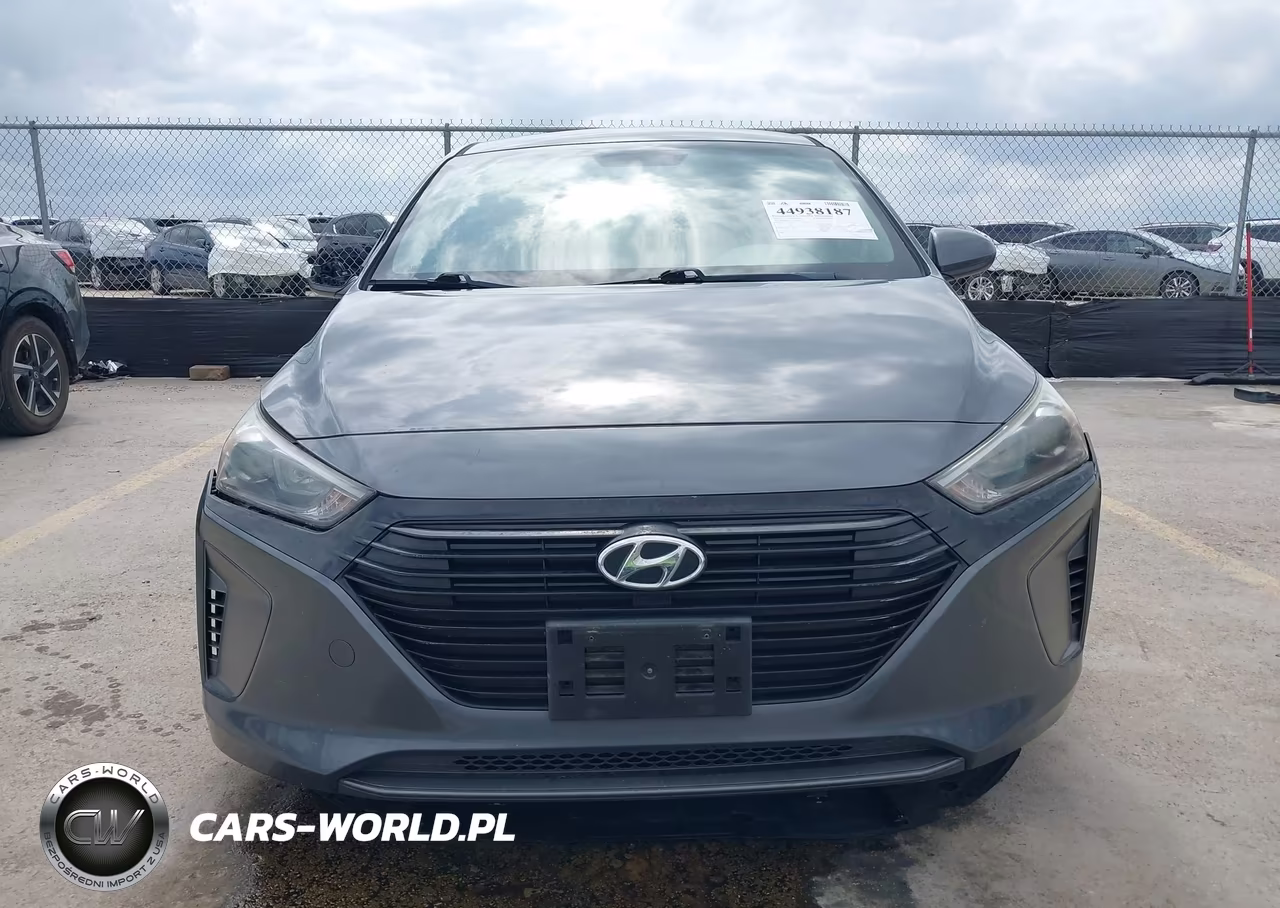 2019 Hyundai Ioniq Hybrid Blue VIN:KMHC65LC1KU116314 - 12