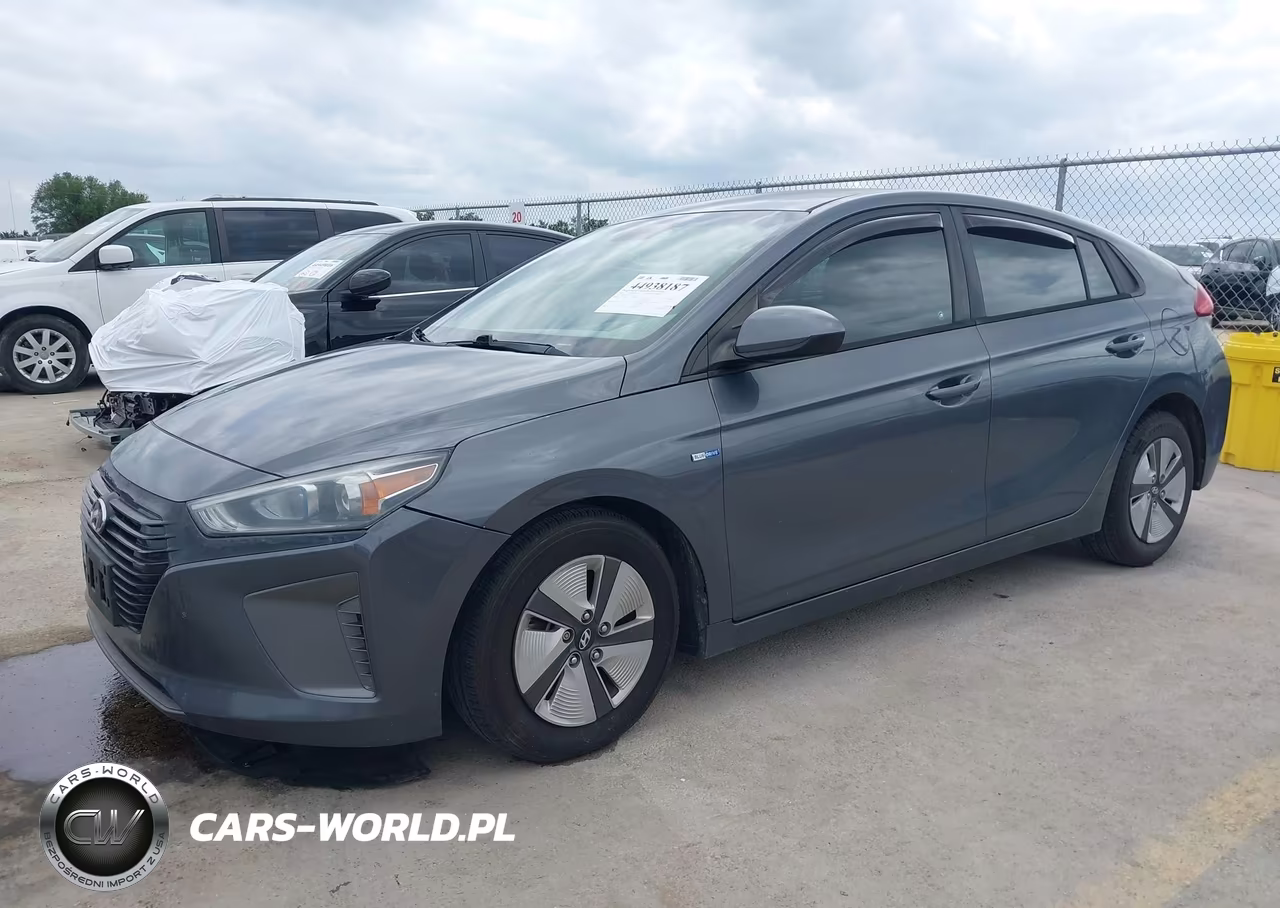 2019 Hyundai Ioniq Hybrid Blue VIN:KMHC65LC1KU116314 - 2