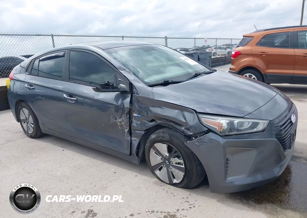 2019 Hyundai Ioniq Hybrid Blue VIN:KMHC65LC1KU116314 - 6
