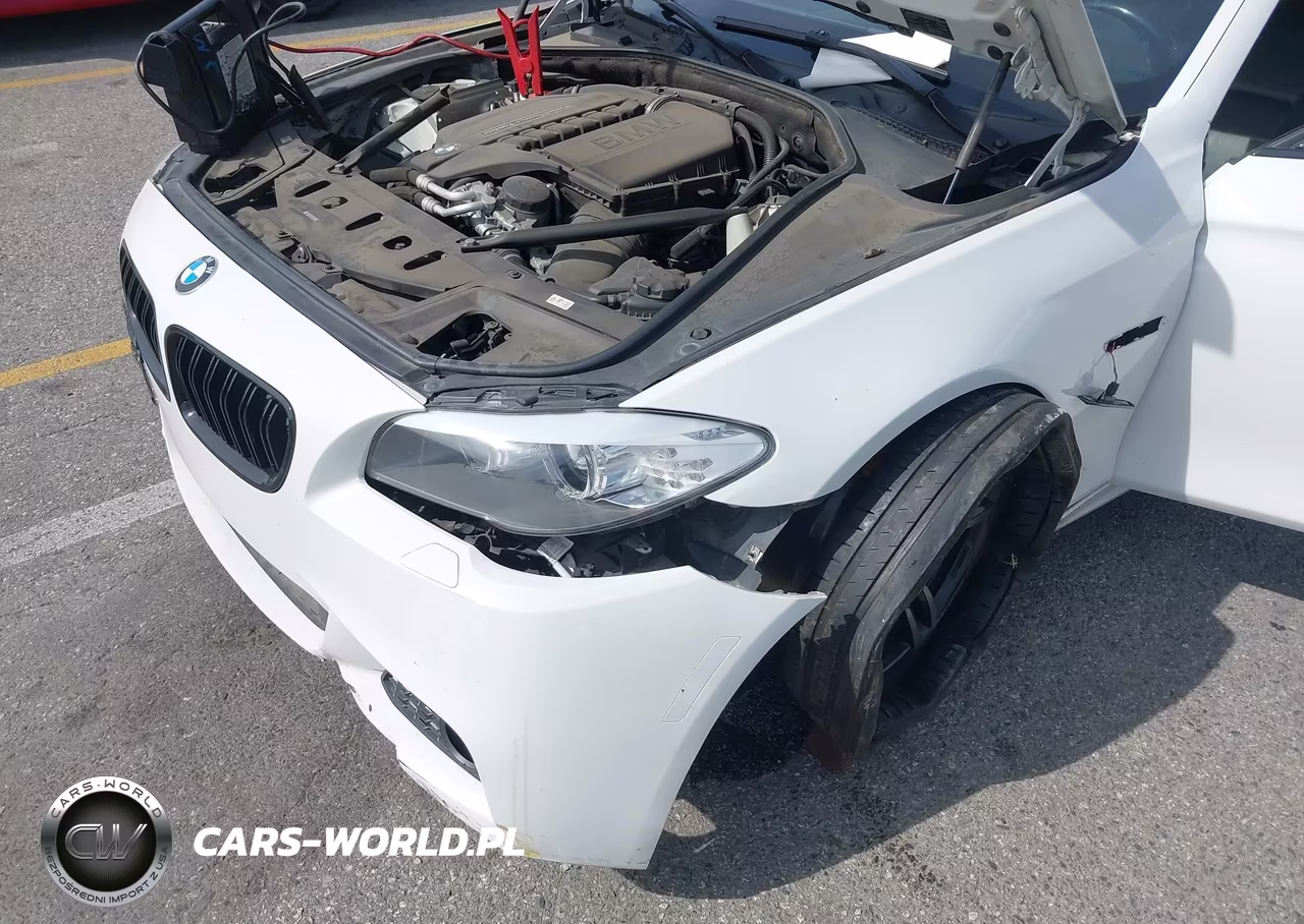 2013 BMW 535I VIN:WBAFR7C54DC819630 - 17
