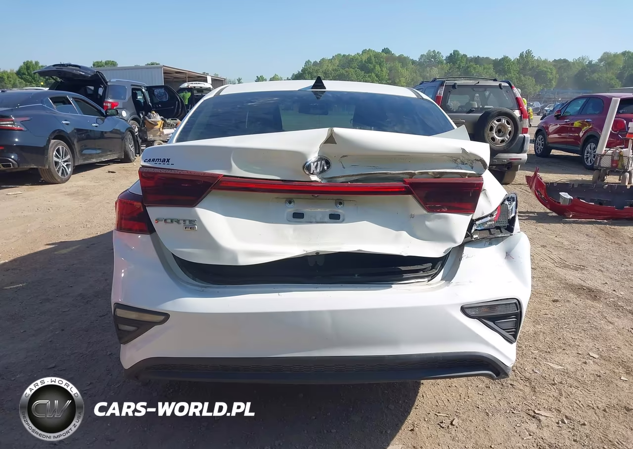 2020 Kia Forte Fe VIN:3KPF24AD6LE142040 - 16