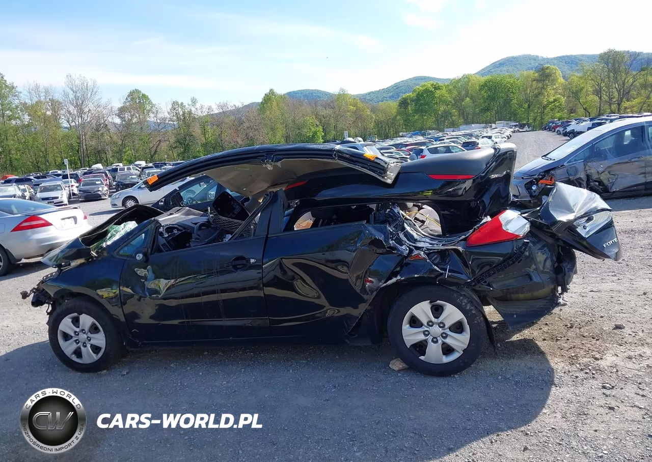 2016 Kia Forte Lx VIN:KNAFK4A63G5569174 - 14