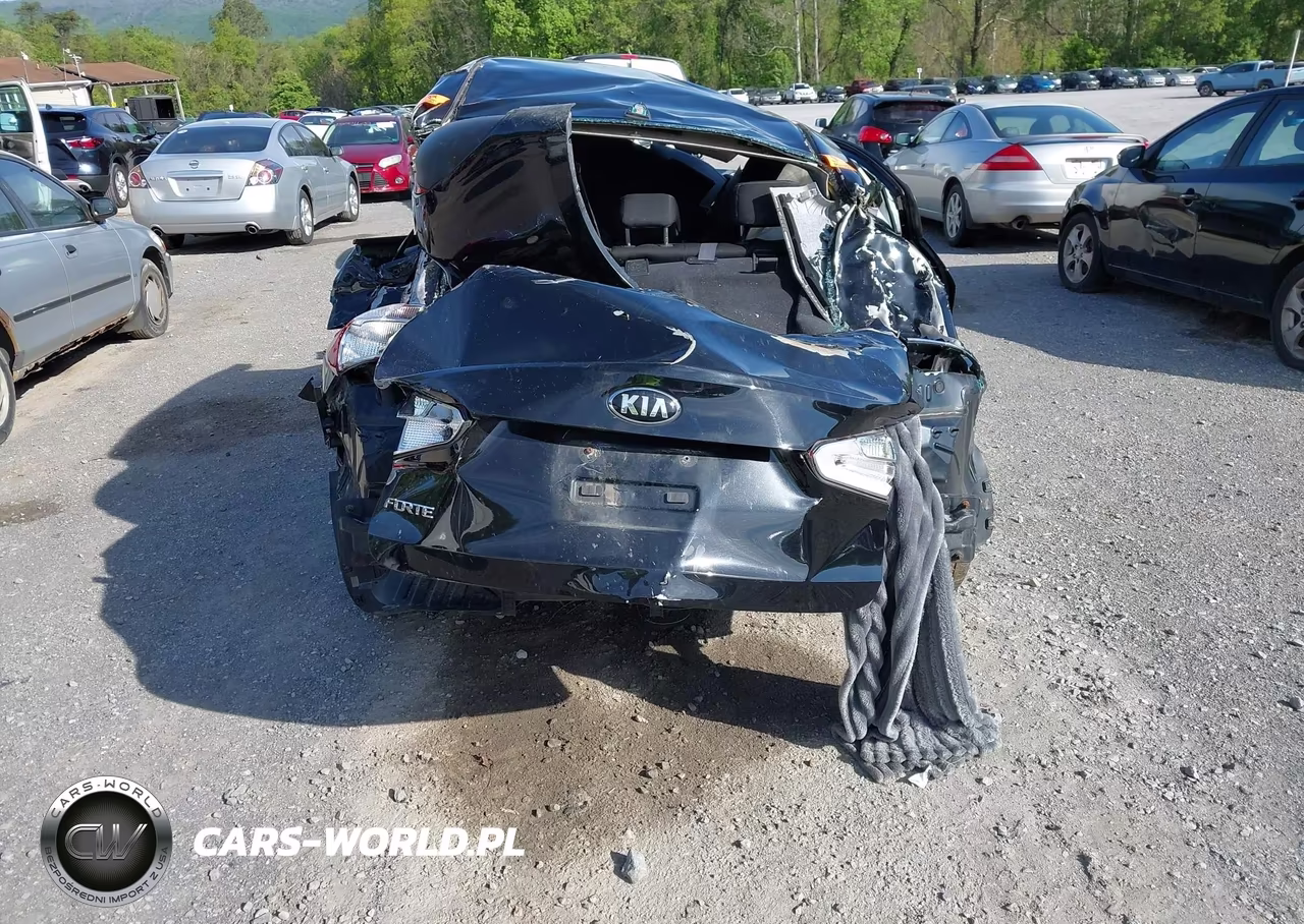 2016 Kia Forte Lx VIN:KNAFK4A63G5569174 - 16