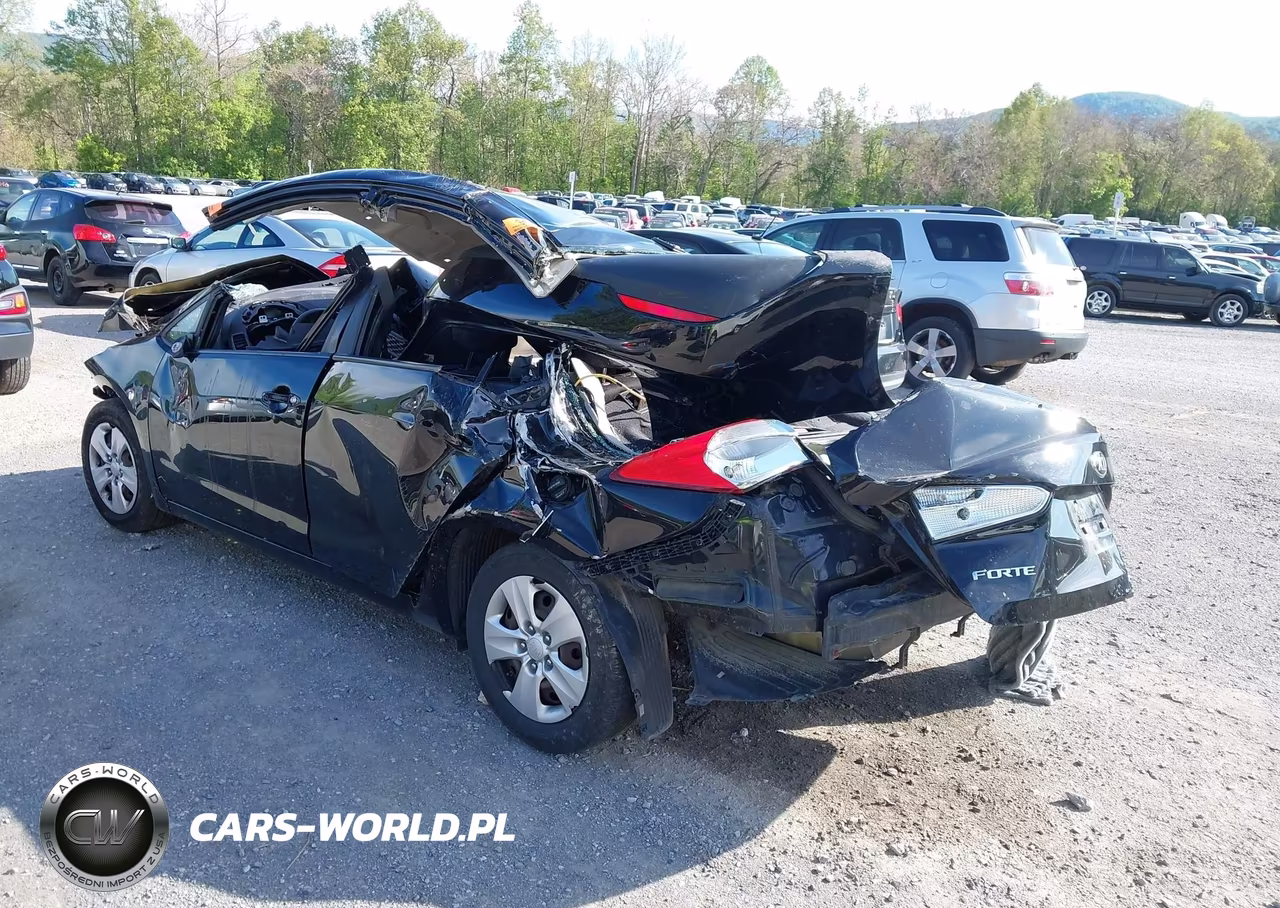 2016 Kia Forte Lx VIN:KNAFK4A63G5569174 - 3