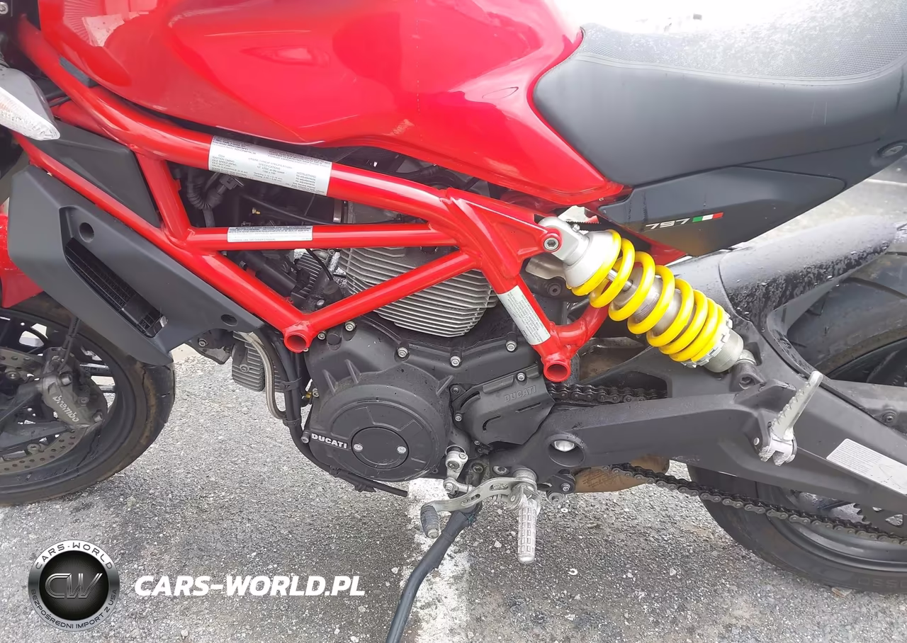 2017 Ducati Monster 797 VIN:ZDMMADBM0HB002809 - 9