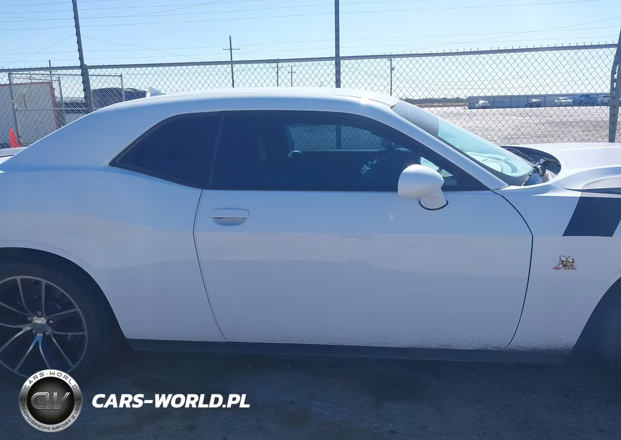 2015 Dodge Challenger R-T Scat Pack VIN:2C3CDZFJXFH727886 - 14