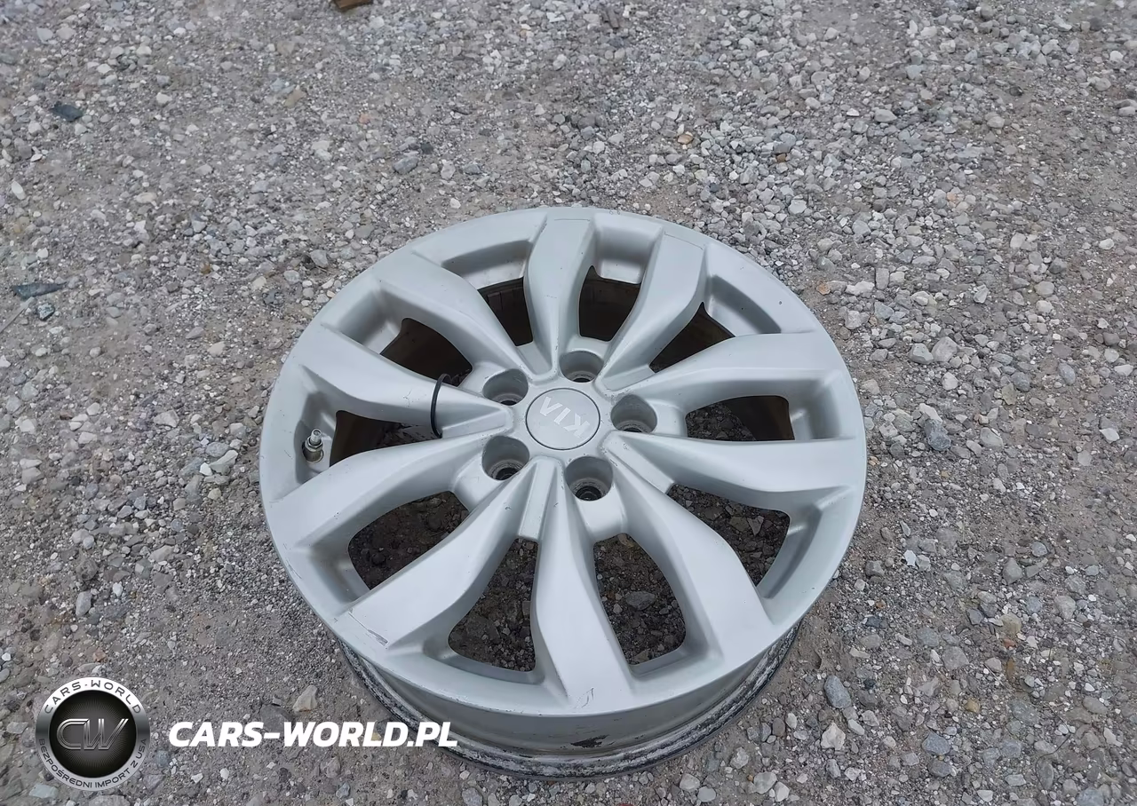 2014 Ford Focus Titanium VIN:1FADP3J2XEL349144 - 12