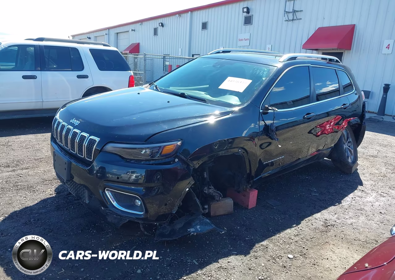 2019 Jeep Cherokee Overland 4X4 VIN:1C4PJMJN3KD254035 - 2