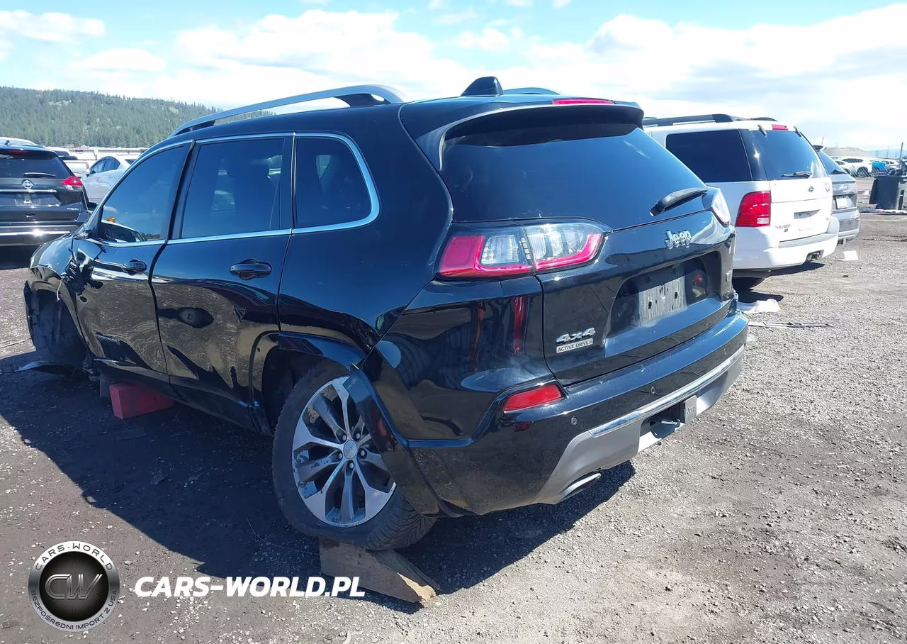 2019 Jeep Cherokee Overland 4X4 VIN:1C4PJMJN3KD254035 - 3