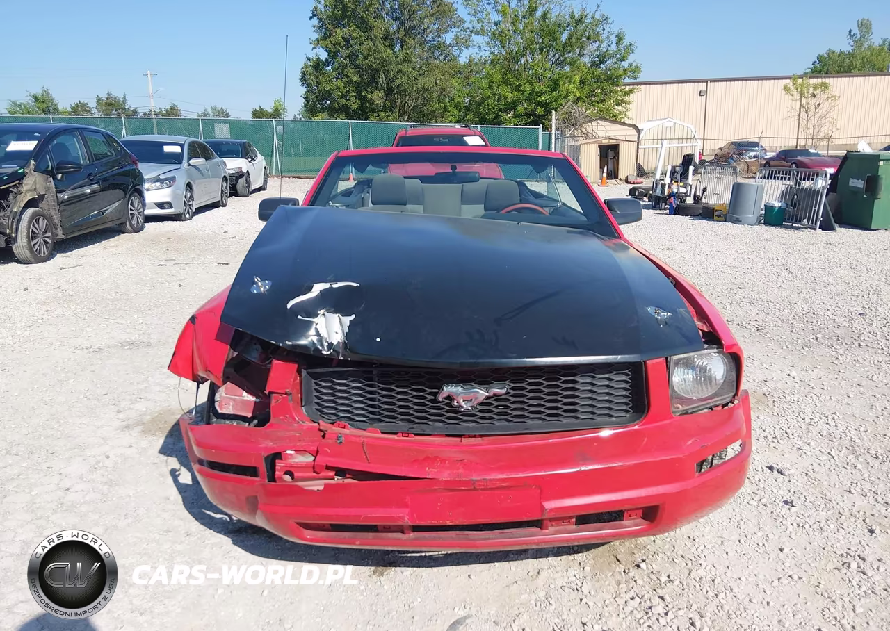 2007 Ford Mustang V6 Deluxe-V6 Premium VIN:1ZVFT84NX75313704 - 12