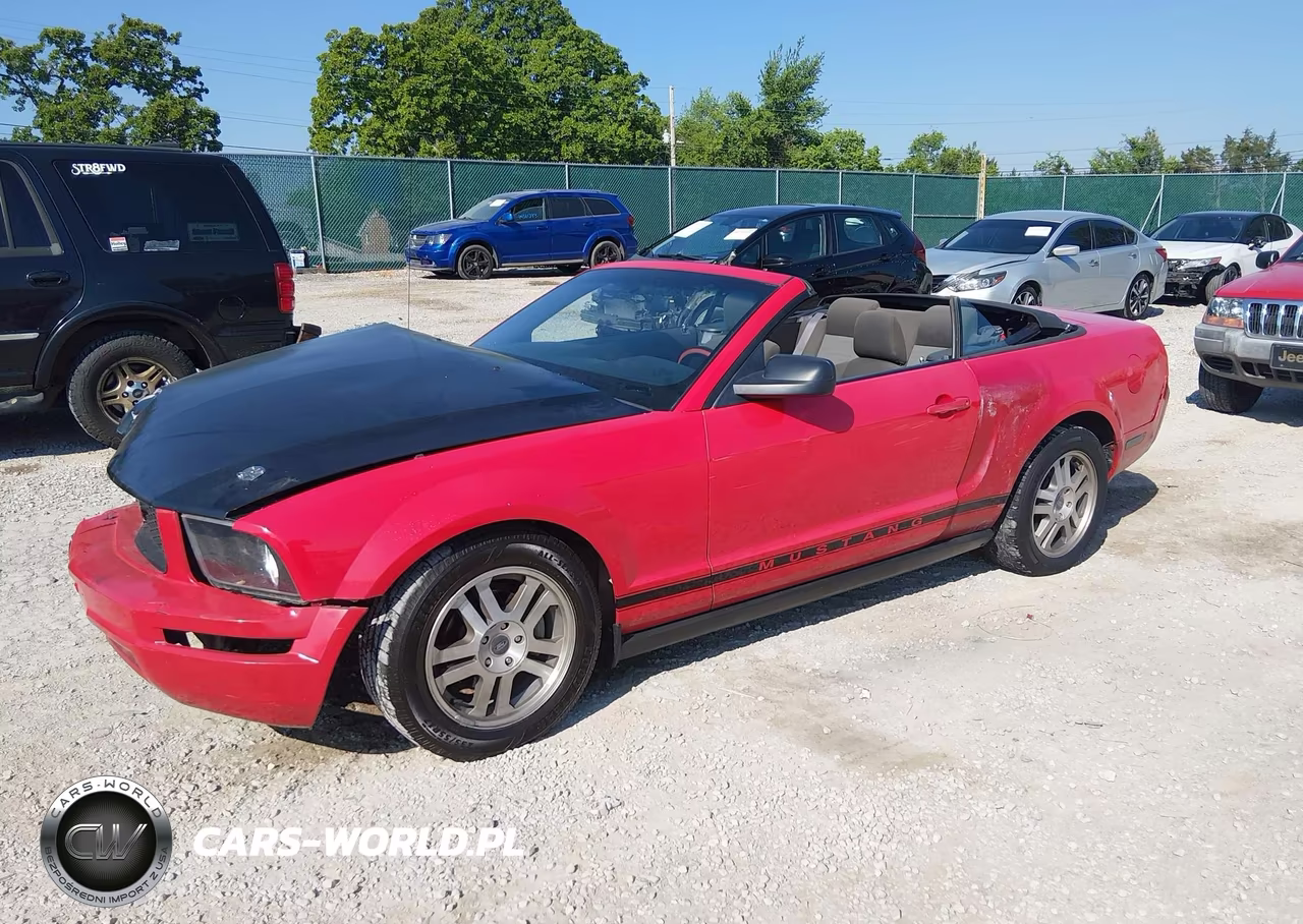 2007 Ford Mustang V6 Deluxe-V6 Premium VIN:1ZVFT84NX75313704 - 2
