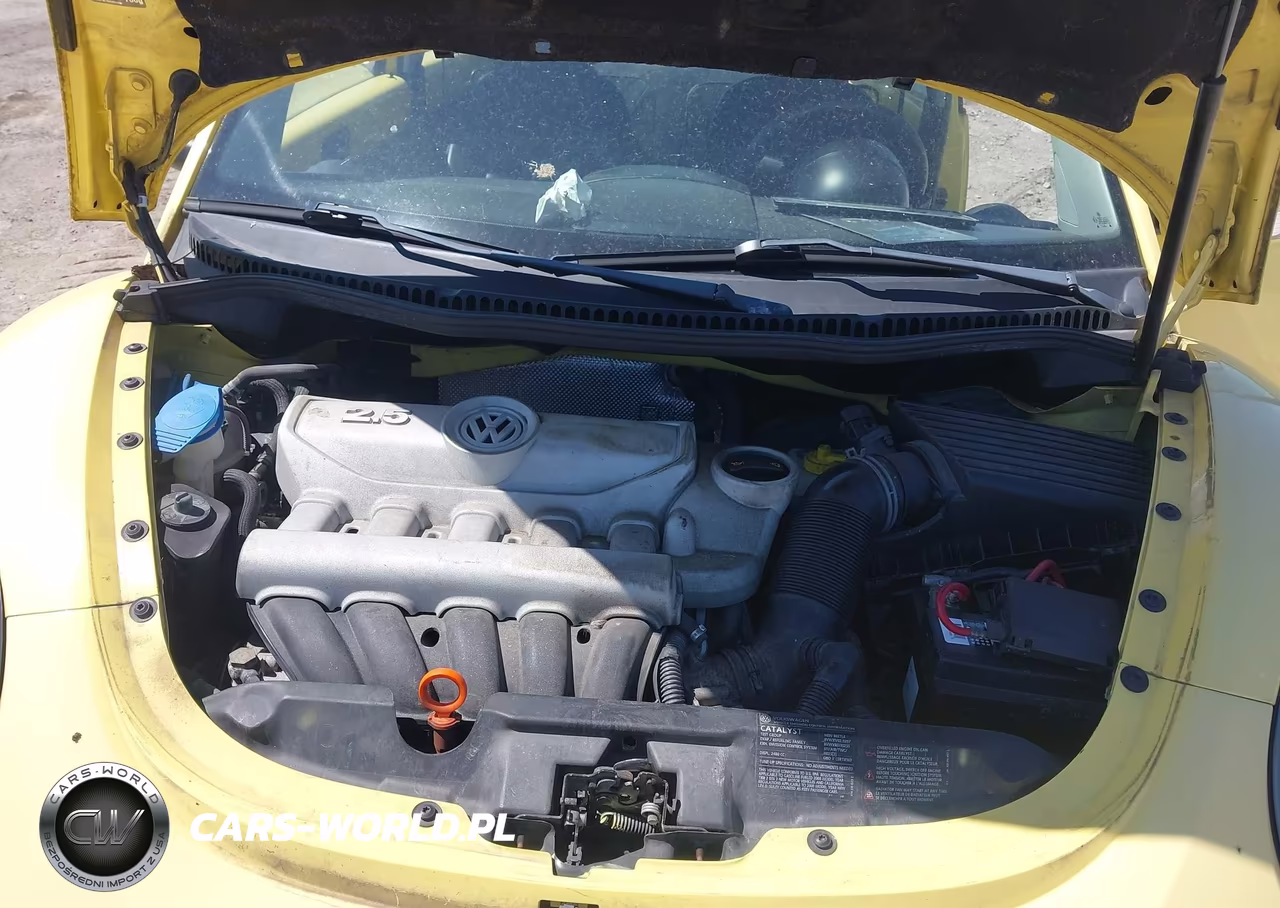 2008 Volkswagen New Beetle S VIN:3VWRG31C58M517992 - 10