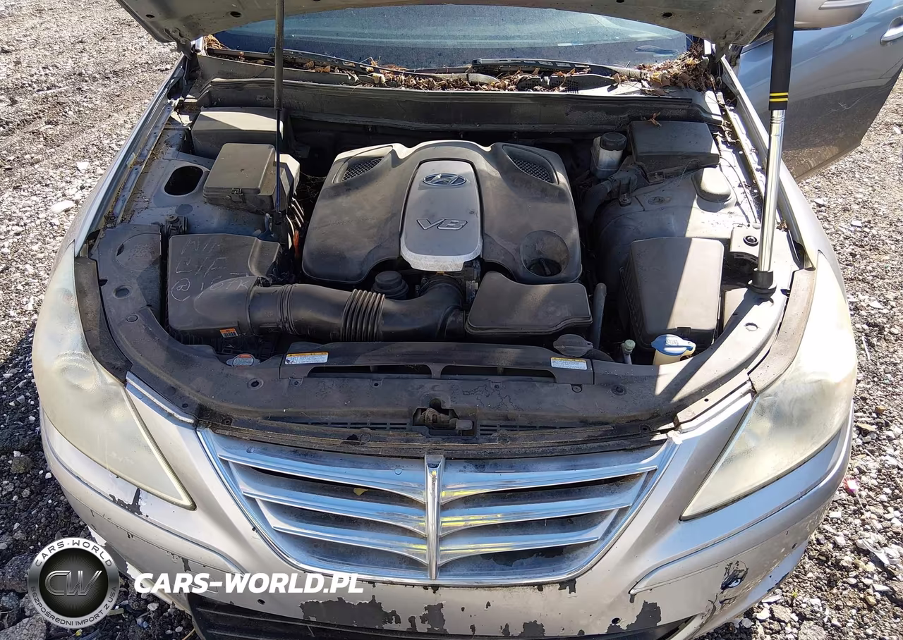 2010 Hyundai Genesis 4.6 VIN:KMHGC4DF3AU094103 - 10