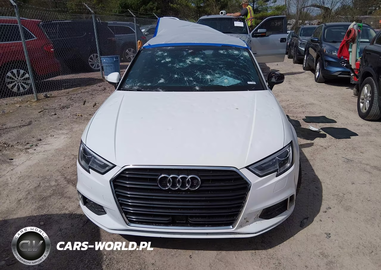 2019 Audi A3 40 Premium-40 Titanium Premium VIN:WAUAUGFF6KA073803 - 12