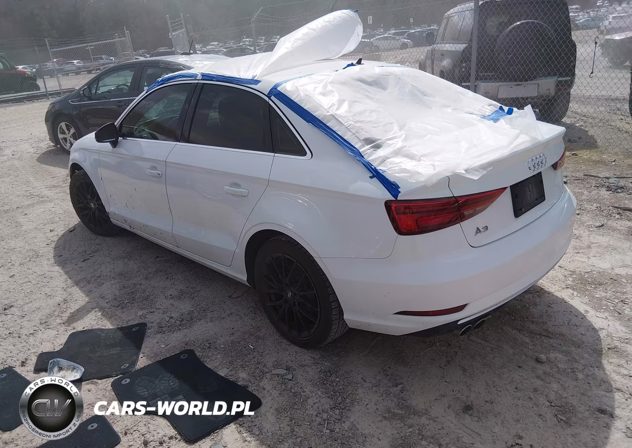 2019 Audi A3 40 Premium-40 Titanium Premium VIN:WAUAUGFF6KA073803 - 3