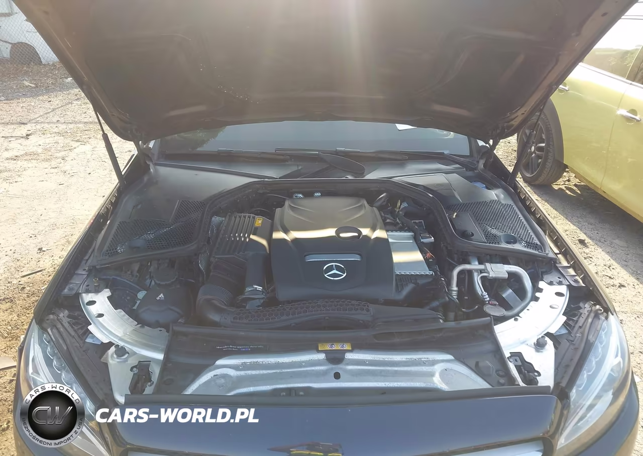 2018 Mercedes-Benz C 300 VIN:55SWF4JB9JU272208 - 10