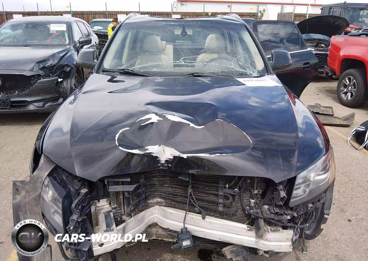 2009 Audi Q5 3.2 Premium VIN:WA1KK78R59A024598 - 6