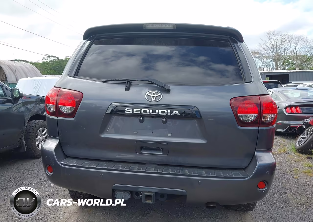 2020 Toyota Sequoia Sr5 VIN:5TDBY5G15LS179781 - 16