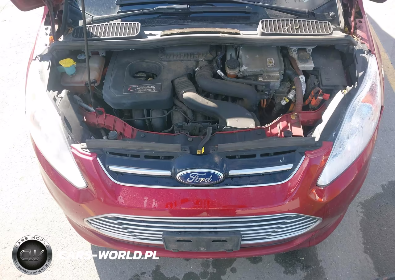 2013 Ford C-Max Energi Sel VIN:1FADP5CU1DL527063 - 10