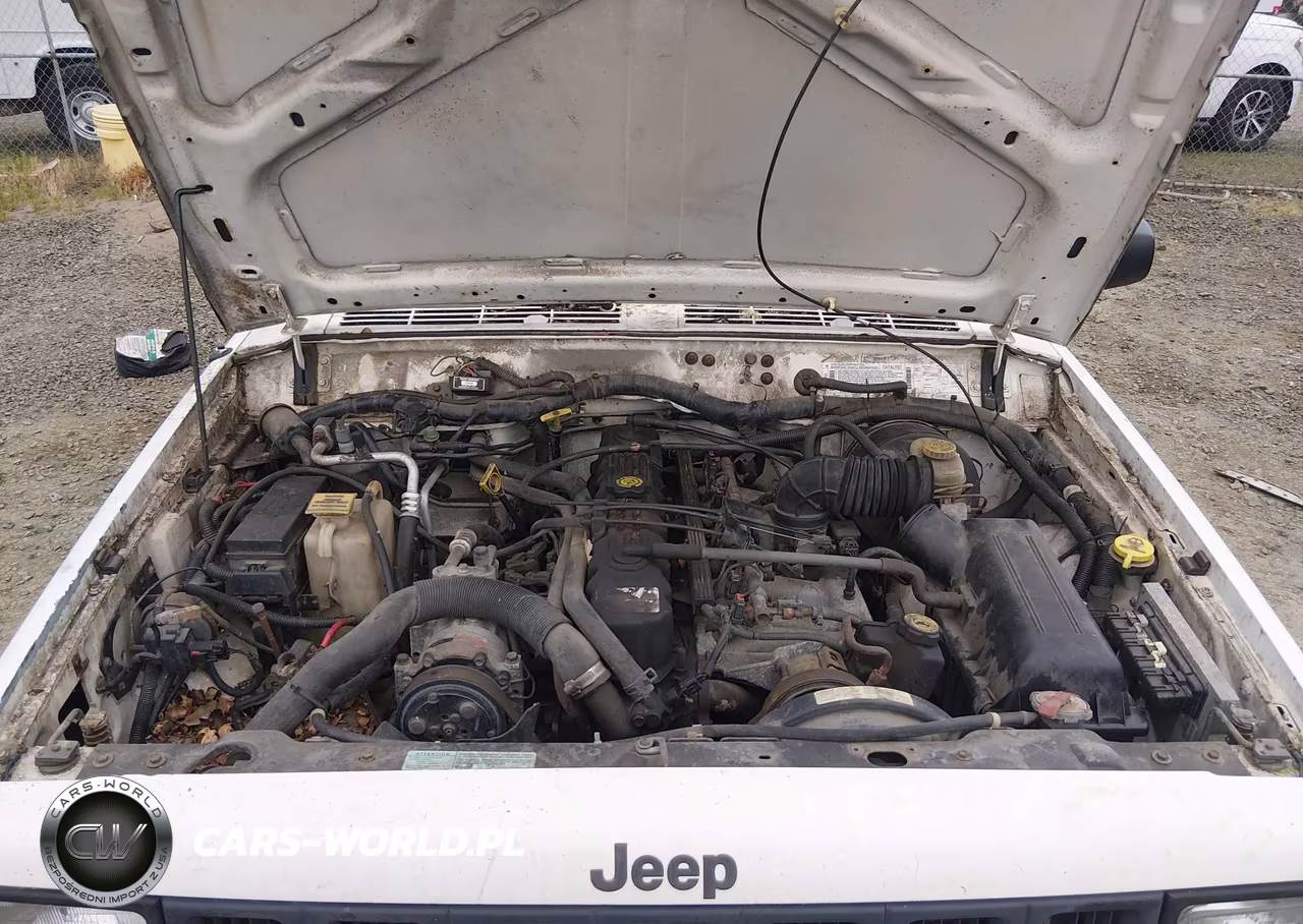 1998 Jeep Cherokee Se VIN:1J4FJ28S6WL218017 - 10