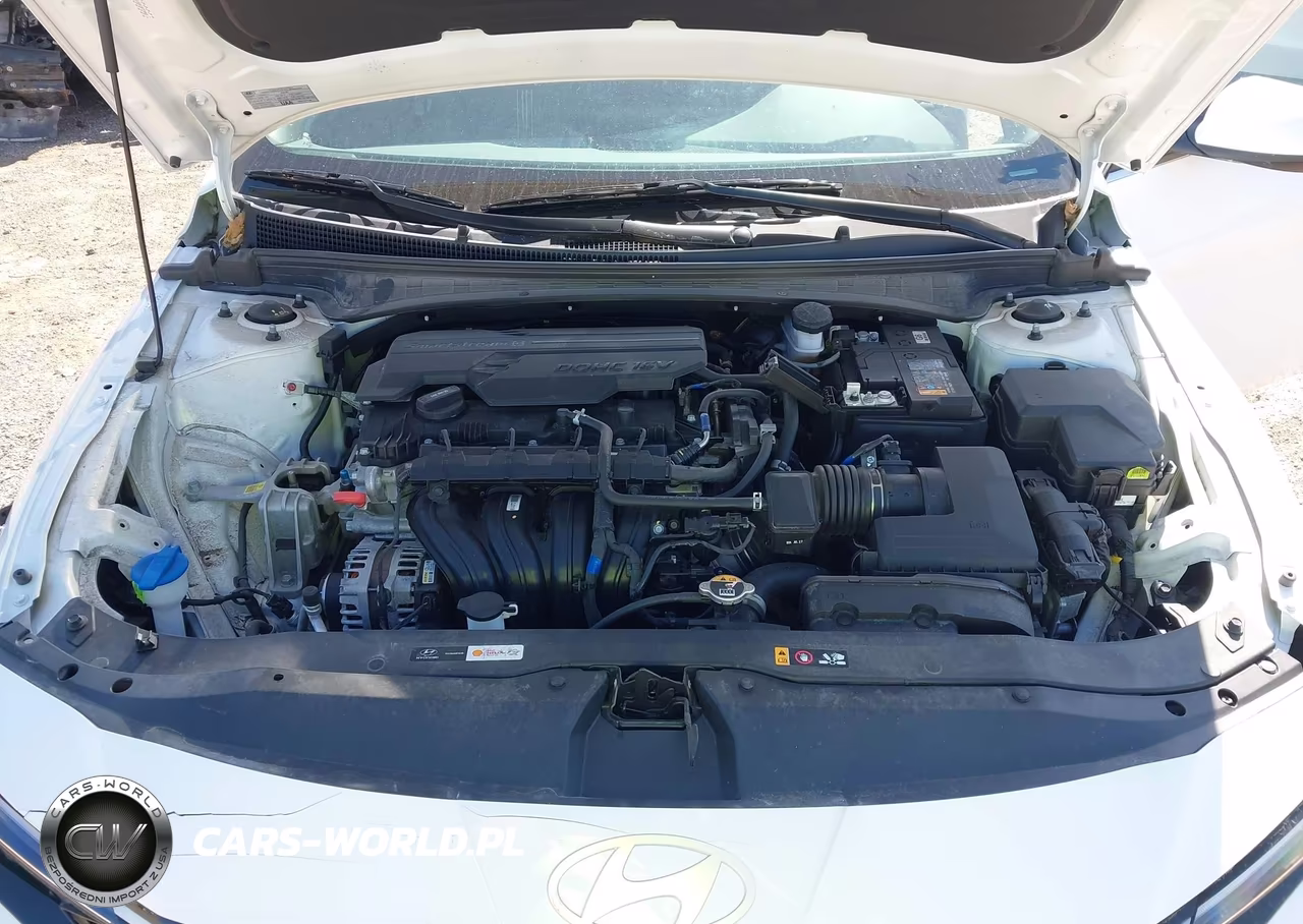 2024 Hyundai Elantra Sel VIN:KMHLS4DG1RU770943 - 10