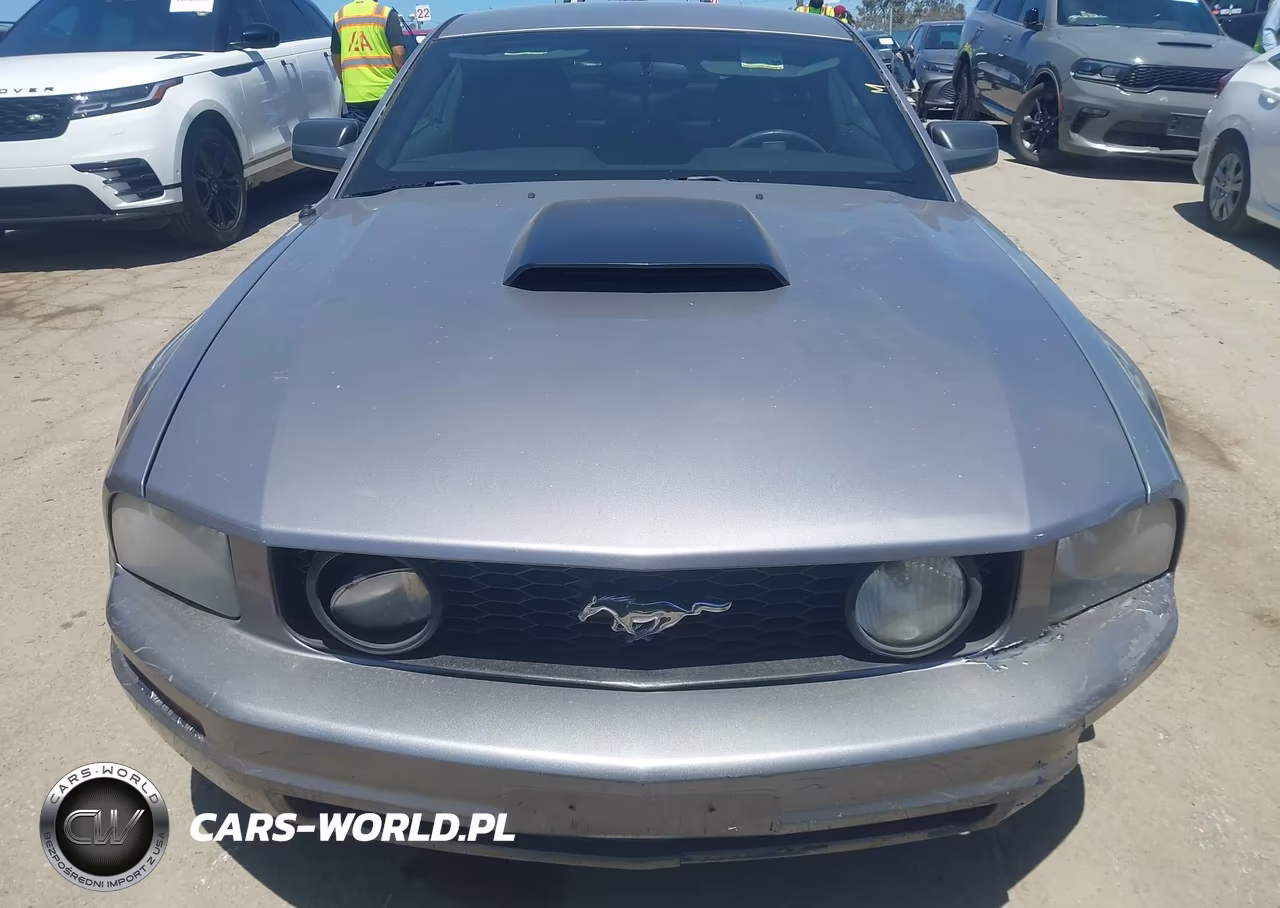 2006 Ford Mustang Gt VIN:1ZVHT82H265225170 - 12