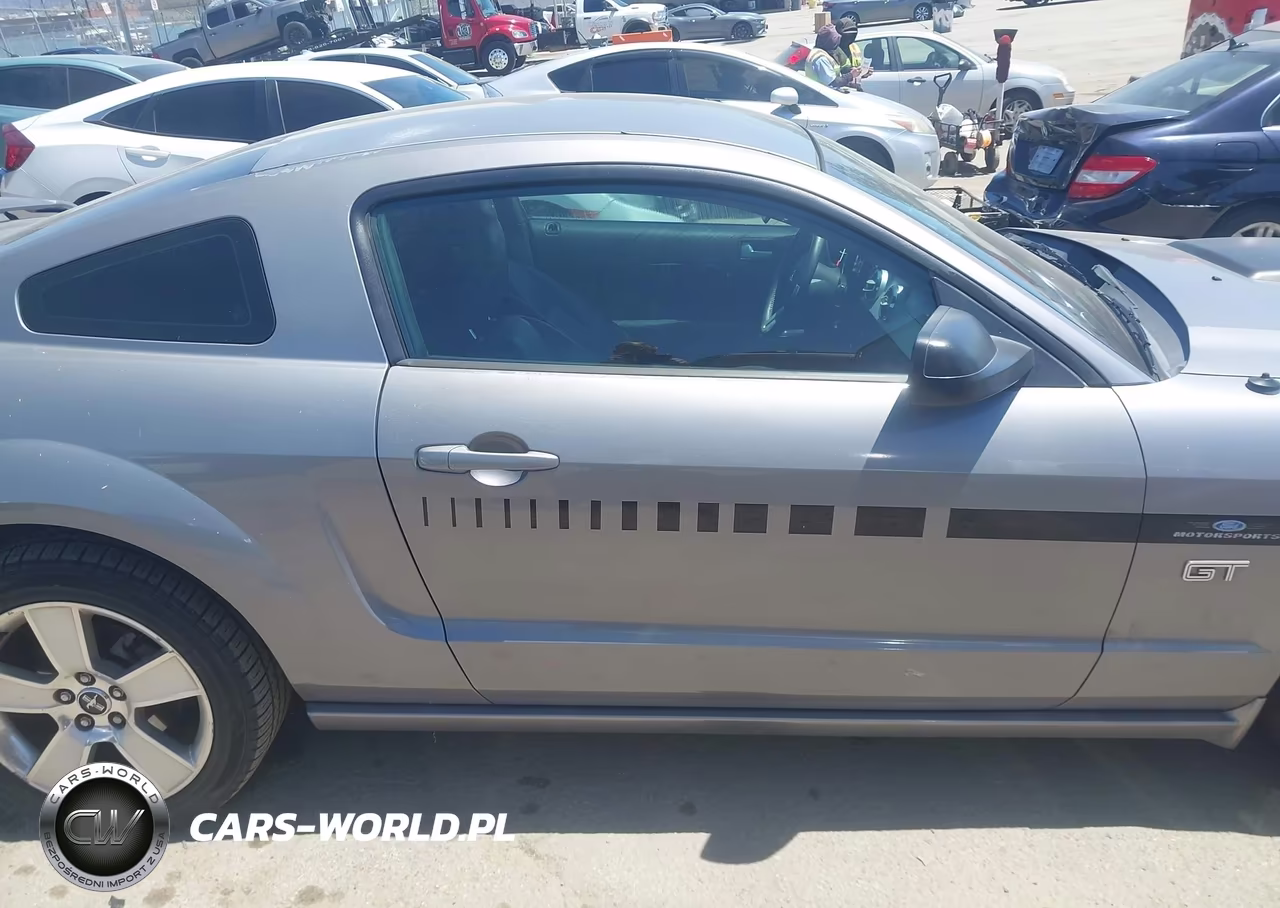 2006 Ford Mustang Gt VIN:1ZVHT82H265225170 - 13