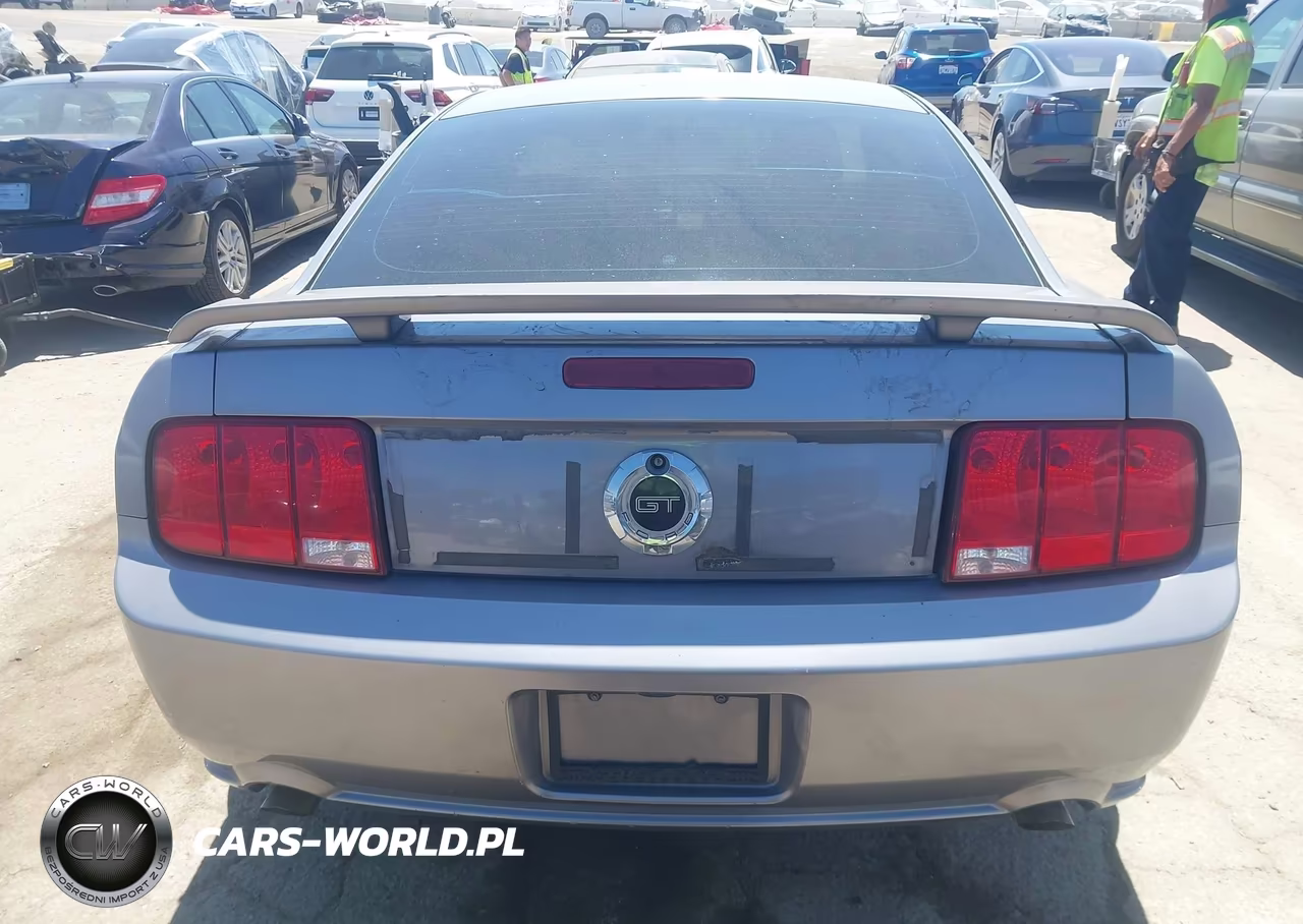 2006 Ford Mustang Gt VIN:1ZVHT82H265225170 - 16