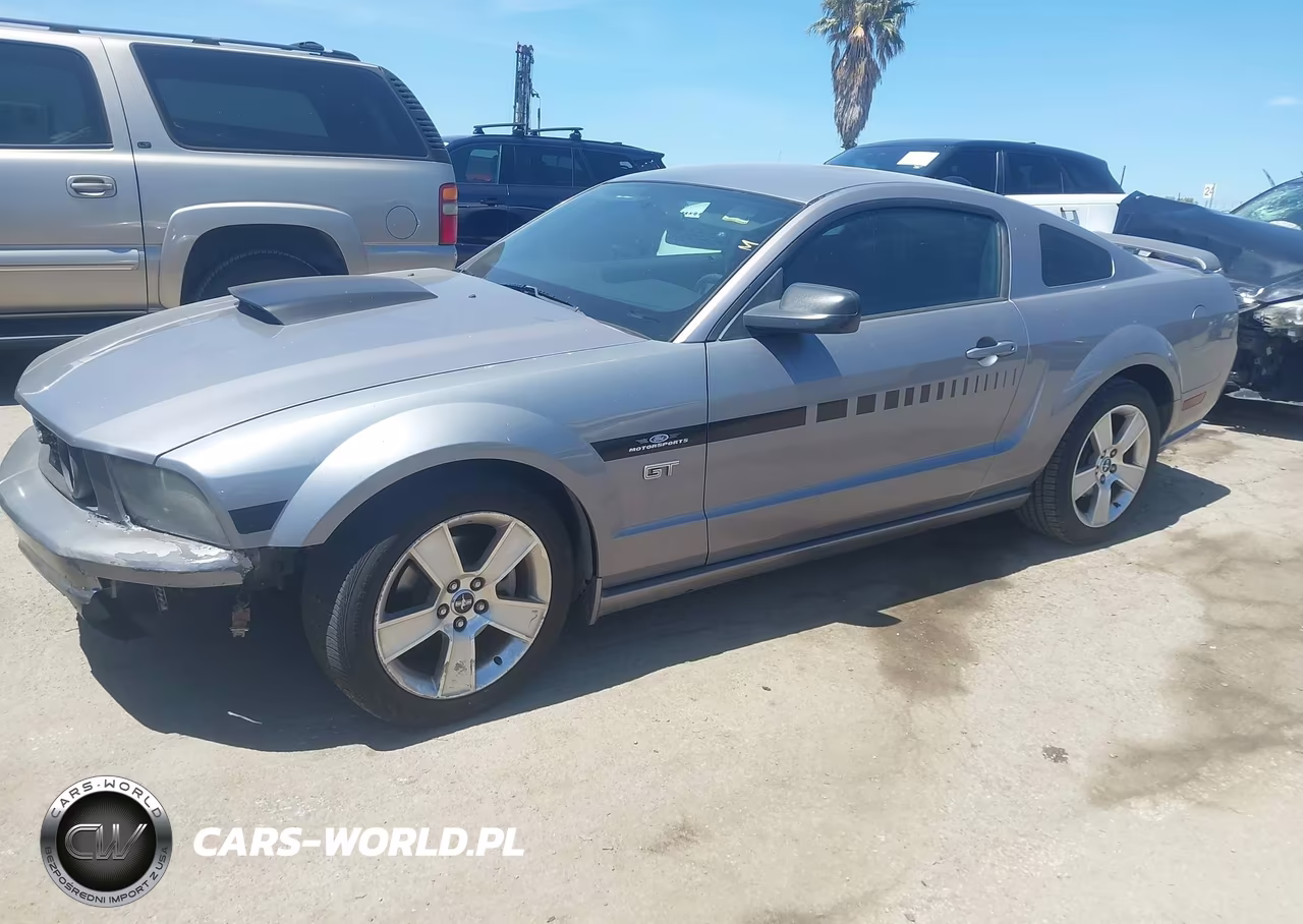 2006 Ford Mustang Gt VIN:1ZVHT82H265225170 - 2