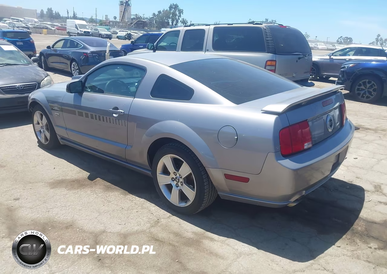 2006 Ford Mustang Gt VIN:1ZVHT82H265225170 - 3