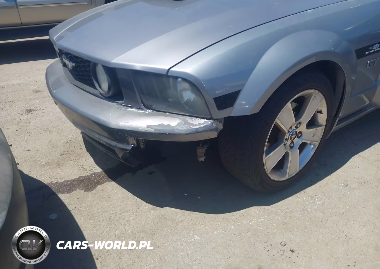 2006 Ford Mustang Gt VIN:1ZVHT82H265225170 - 6