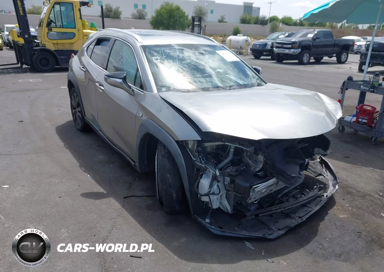 2019 Lexus Ux 200 F Sport