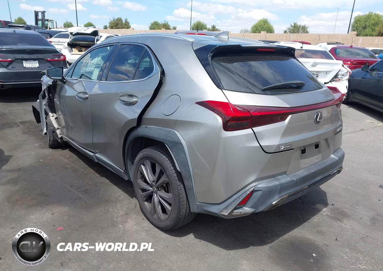 2019 Lexus Ux 200 F Sport VIN:JTHY3JBH2K2014605 - 3
