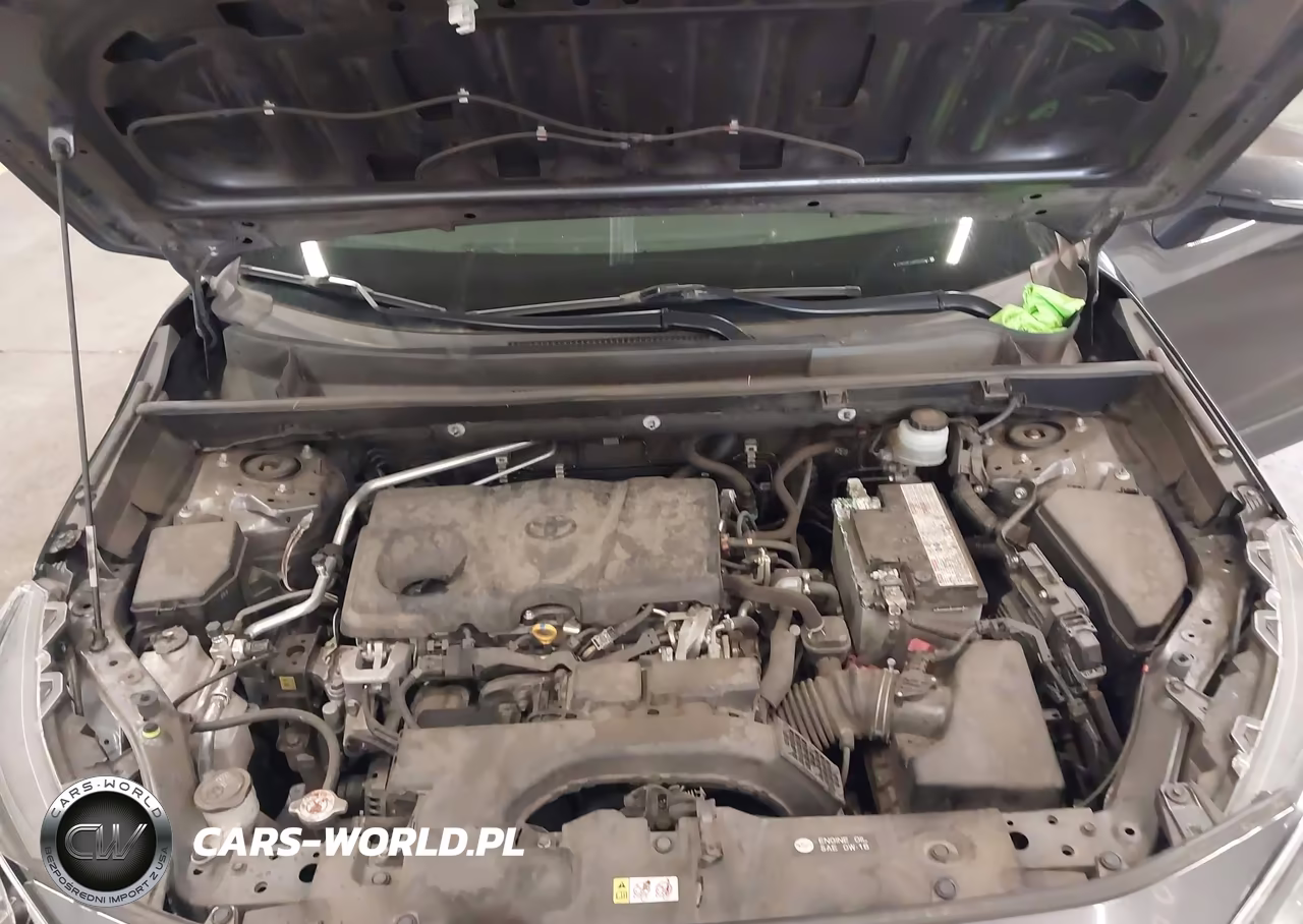 2019 Toyota Rav4 Xle VIN:JTMP1RFV3KD523060 - 10