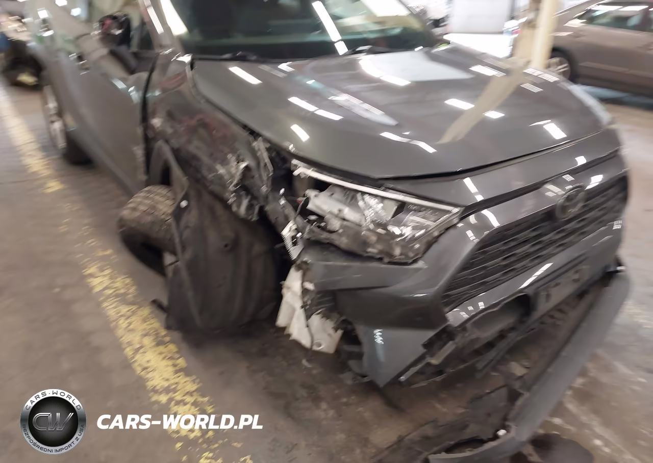 2019 Toyota Rav4 Xle VIN:JTMP1RFV3KD523060 - 17