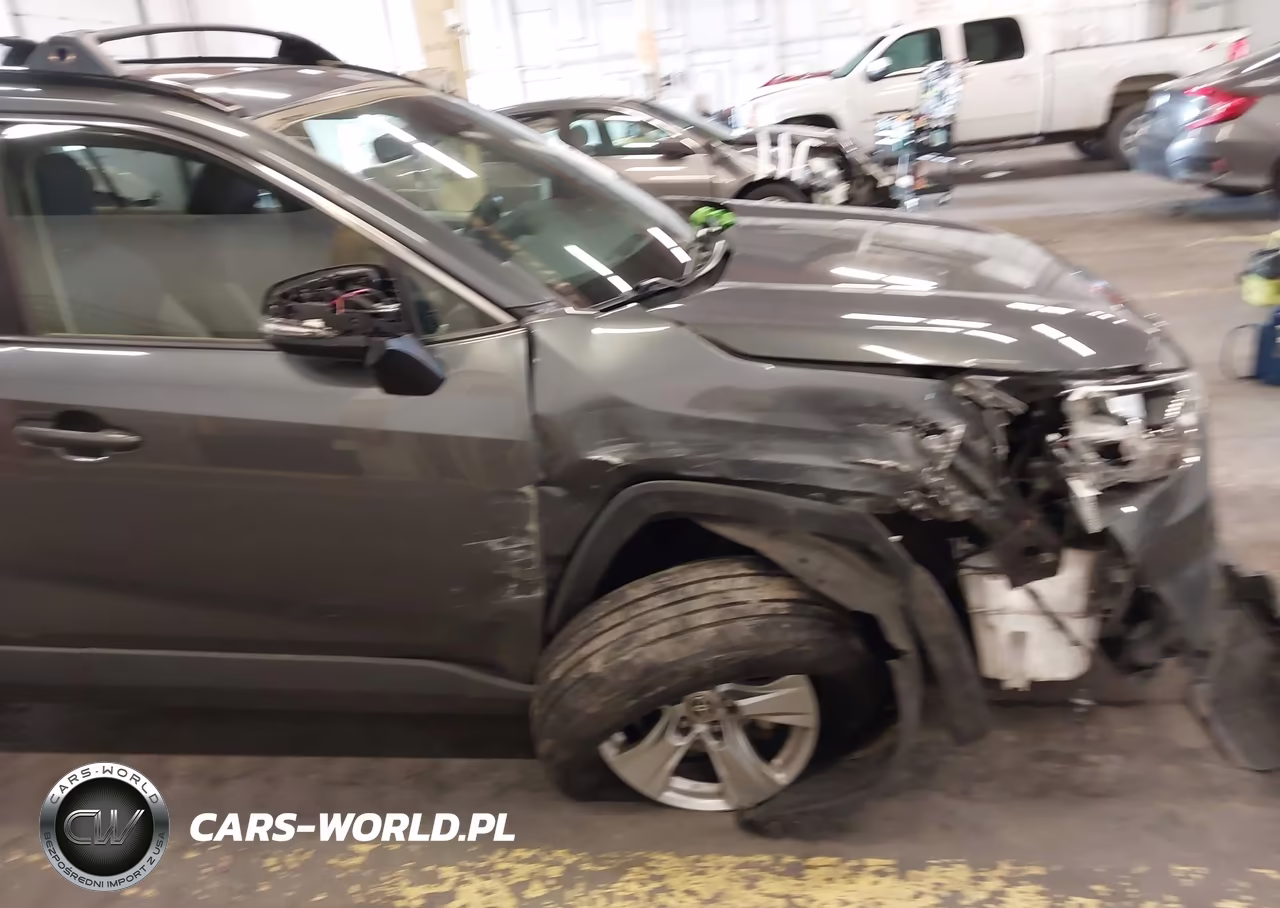2019 Toyota Rav4 Xle VIN:JTMP1RFV3KD523060 - 18