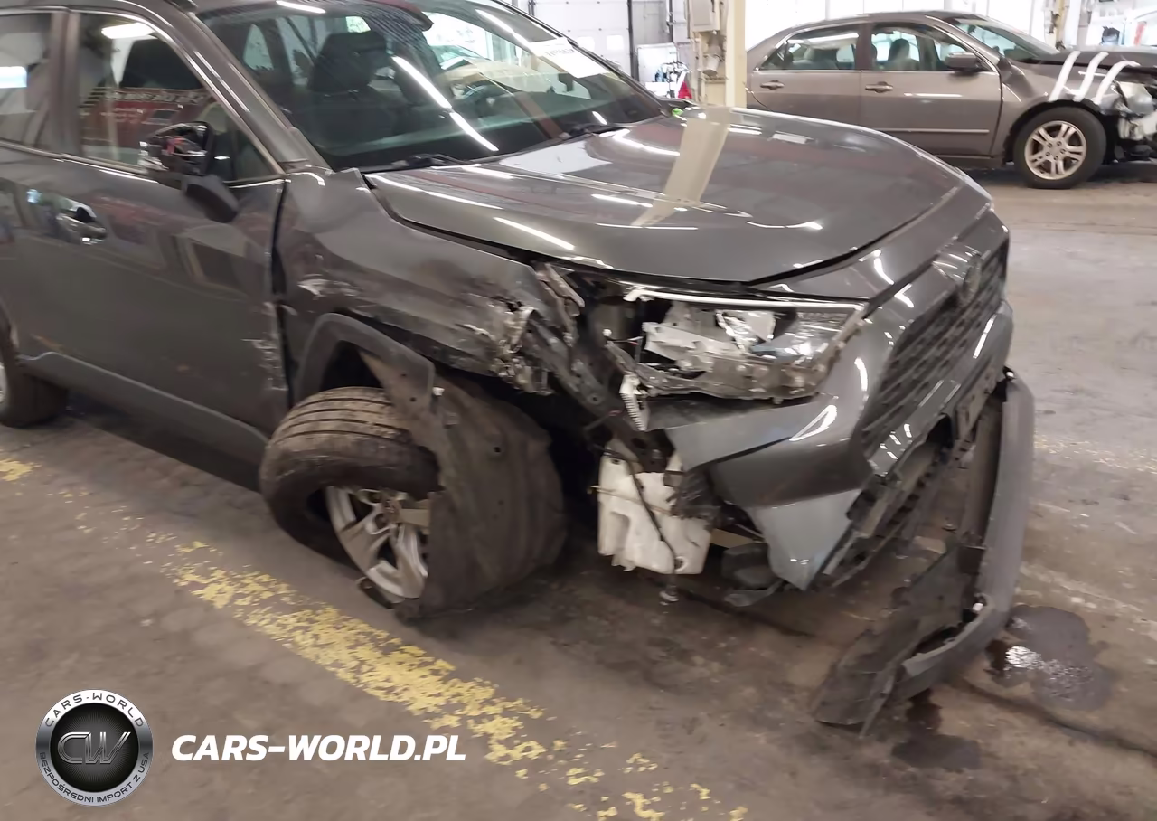 2019 Toyota Rav4 Xle VIN:JTMP1RFV3KD523060 - 6